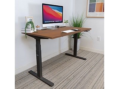 Mount-It! Ultimate 55"W Electric Rectangular Adjustable Standing Desk