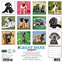 2027 Willow Creek Great Dane Puppies  12" x 12" Monthly Wall Calendar (60520)~#|#~327E401F-78AC-4EDC-B5EBB44F08A80BB8_sc7