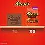 Reese's Miniatures Milk Chocolate Peanut Butter Cups Candy Party Pack, 30 oz. (246-00412)~#|#~32841C34-FFA0-40DB-9D8639DAE767BBD7_sc7
