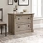 Sauder Palladia 2-Drawer Lateral File Cabinet, Letter/Legal Size, 29.63"H x 36.75"W x 22"D, Split Oak (424812)~#|#~3284619E-0A88-4613-B776C32B6445A41A_sc7