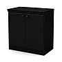 South Shore Morgan Small 2-Door Storage Cabinet, Pure Black (7270722)~#|#~328989F5-C361-47D3-929EB8DAA3E46CA5_sc7