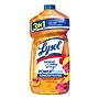 Lysol Brand New Day Multi-Surface Cleaner, Mango & Hibiscus, 28 oz. (19200-82516)~#|#~328A501D-3BDF-4BAD-81CD2858809C300F_sc7