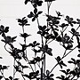 Nearly Natural Artificial Halloween Black Enkianthus Tree, 4' (T5153)~#|#~32A25747-F1CB-47D6-AA7A6D5D50D96FB1_sc7