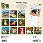 2026 BrownTrout Welsh Corgis 12" x 12" Monthly Wall Calendar (9798330706235)~#|#~32B6CDA6-10E8-43D0-9E9F726CBFBF6EC3_sc7