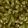 National Tree Company Jersey Fraser Fir Artificial Christmas Tree (PEJF1-300-65)~#|#~32C84679-2257-48B1-9973AA5BB8BB463C_sc7