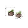 Monarch Specialties Inc. 10" Artificial Succulent in Pot, 2/Set (I 9371)~#|#~32CF3BF6-0B48-4557-B0D0F37D8B775C80_sc7