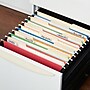 Staples® Heavy Duty Bright Colored Hanging File Folders, 1/5-Cut Tab, Letter Size, Assorted Colors, 25/Box (ST875411-CC)~#|#~32D87280-E799-497B-9E65363E05F7C997_sc7