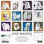 2026 Willow Creek Maltese 12" x 12" Monthly Wall Calendar (51870)~#|#~32EEE954-86E2-4420-839D1BD15D566B2B_sc7