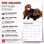 2027 BrownTrout Labrador Retriever Puppies 12" x 12" Monthly Wall Calendar (9798330712519)~#|#~32F0C7F6-F43B-4D37-88E51470BF282A21_sc7