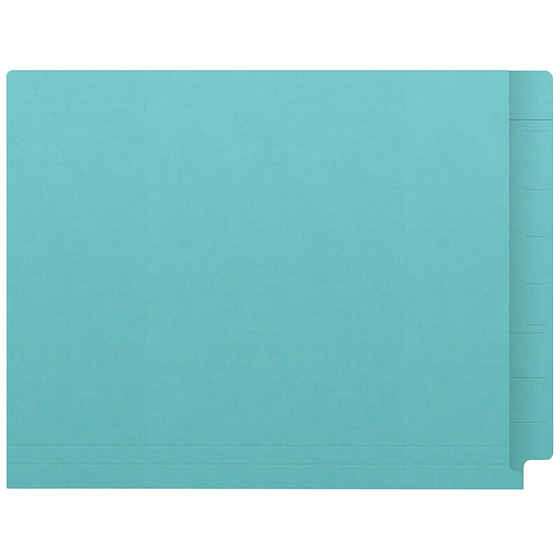 Medical Arts Press Kardex Match Reinforced End Tab File Folder, Straight Cut, Letter Size, Light Blue, 100/Box (S-09482-LBL) image 1