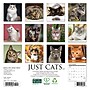 2027 Willow Creek Cats 7" x 7" Monthly Wall Calendar (64085)~#|#~32F5BEF0-AF59-4428-AA8414D0D83FE95E_sc7