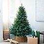 Nearly Natural 6' Pre-Lit Artificial Edmonton Fir Light Show Memory Shape Christmas Tree (T4785)~#|#~331C34BC-50A8-41BC-A4228A4F39A37DE3_sc7