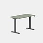 Branch Duo 48"W Electric Adjustable Standing Desk, Sage/Charcoal (10-10-05-65)~#|#~33247648-5712-4038-925F51155431C823_sc7