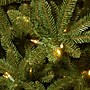 National Tree Company Natural Fraser Fir Artificial Christmas Trees NAFFSLH1-100LO~#|#~332B100D-0CDE-4AC3-B2420C0205DF4AD1_sc7