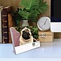2026 Willow Creek Just Pugs 6.2" x 5.4" Day-to-Day Calendar (54376)~#|#~3333CABD-4336-4347-8E890B9763FF41B6_sc7