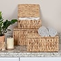 Household Essentials Rectangular Water Hyacinth Nesting Basket Set with Lid, Natural (HE1183)~#|#~3343C6BC-F9D7-43F3-91EACF1D1E3E4EEB_sc7