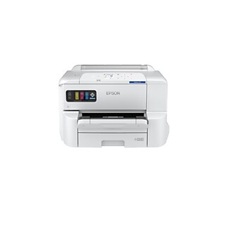 Epson 13