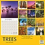 2026 TF Publishing Trees 12" x 12" Monthly Wall Calendar, Multi (26-1029)~#|#~3364EE19-6924-4130-B817B3BFC2DD1E81_sc7