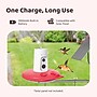 Birdfy Smart Hummingbird Feeder Ruby with Camera and AI by Subscription, Red (EPPAMBNI8902100)~#|#~3370F0EE-46E2-4BDD-A5F77354AA2A4D2D_sc7