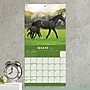 2026 TF Publishing 12" x 17" TF Publishing 7" x 7" Horses Mini Calendar 26-2001~#|#~3374E030-3DD1-4FFB-B27E4CC53A0719D3_sc7