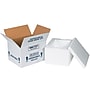 8" x 6" x 4.5" Insulated Shipper Box, White (204C)~#|#~337B5AF0-0115-423D-84209A2AFC3E7954_sc7