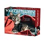 2027 Willow Creek What Cats Teach Us 5.4" x 6.2" Day-to-Day Calendar (63828)~#|#~339C7A4A-0274-46FE-AA1B5B9BCA3ACAC3_sc7