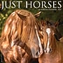 2027 Willow Creek Horses 12" x 12" Monthly Wall Calendar, Assorted Colors (60704)~#|#~339F93D8-57E8-4073-9C3449DD4F0DC18D_sc7