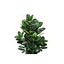 Monarch Specialties Inc. 31" Artificial Garcinia Tree in Pot (I 9507)~#|#~33A3CF5B-E7C8-40AE-991DAEAC0780906C_sc7