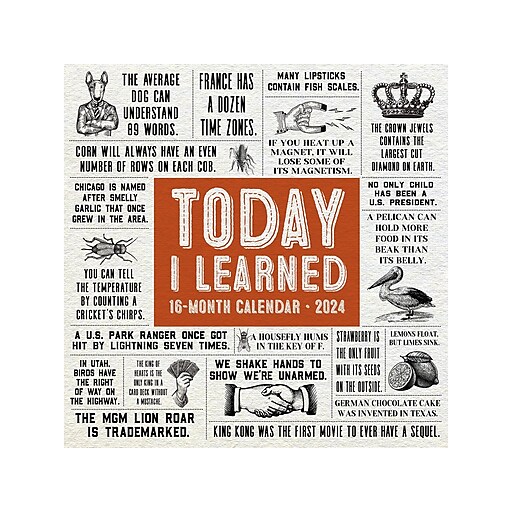 2024 Willow Creek Today I Learned 12" x 12" Monthly Wall Calendar