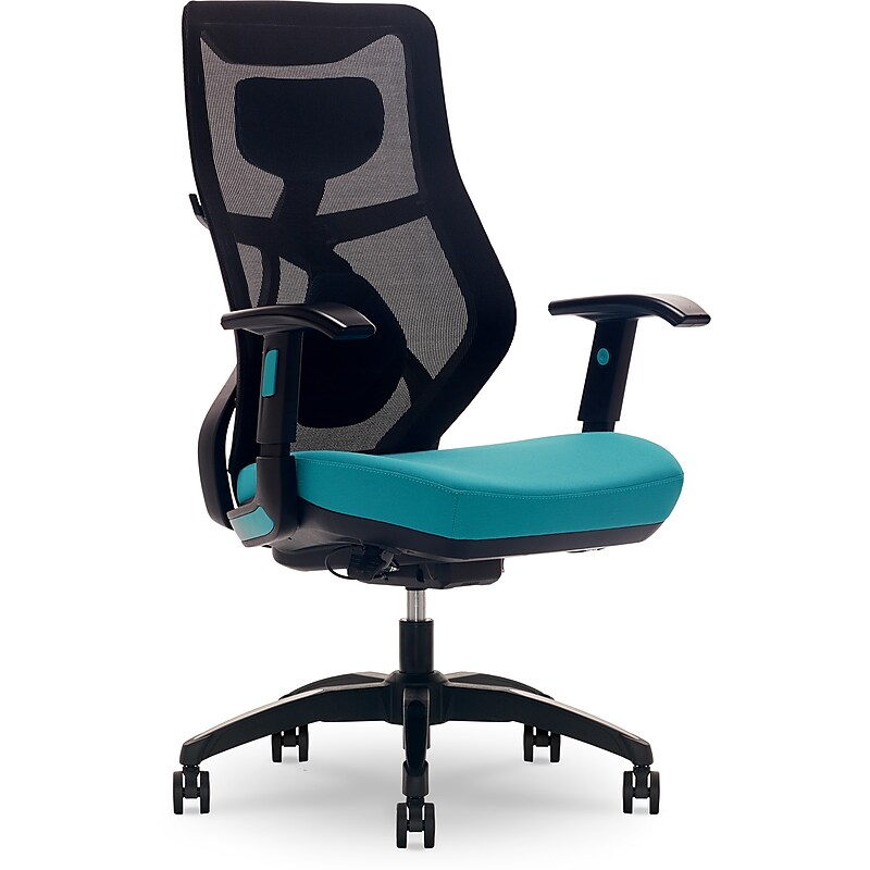 Beautyrest Duo-EX Ergonomic Mesh Swivel Computer Chair, Teal (60051-TEL) image 1