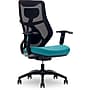 Beautyrest Duo-EX Ergonomic Mesh Swivel Computer Chair, Teal (60051-TEL)~#|#~33A76364-34FE-448C-9762E947E27969BA_sc7