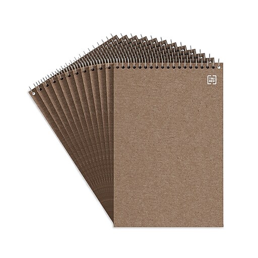 TRU RED™ Steno Pad, 6" x 9", Gregg Ruled, Kraft, 80 Sheets/Pad, Dozen