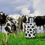 InUSA Prints 30.76" Hardside Suitcase, 4-Wheeled Spinner, TSA Checkpoint Friendly, Cow Animal Print (IUAPC00L-COW)~#|#~33BEEF64-7669-4DF9-8A08D30F67A0B7C2_sc7