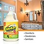 OdoBan Air Freshener & Deodorizer, Citrus Scent, 1 Gallon (911661-G4)~#|#~33CD4ACA-247D-4038-A3E6B267D9A32380_sc7