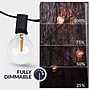 Newhouse Lighting Globe Party LED String Lights w/ Wireless Remote Dimmer, 50 ft., Black (PSTRINGLEDDIM)~#|#~33D3EB3F-6043-4D89-A95C14EE74009BB1_sc7