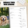 2026 Willow Creek What Goldens Teach Us 6.5" x 8.5" Daily & Monthly Personal Organizer (54680)~#|#~33D702E8-A168-4617-8755D81FD6C3647F_sc7