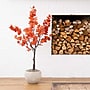 Nearly Natural 4' Autumn Rustic Maple Artificial Fall Tree (T4829)~#|#~33F1956B-4DC0-4DD2-B2FB4763132E6EC7_sc7