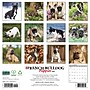 2027 Willow Creek French Bulldog Puppies 12" x 12" Monthly Wall Calendar, Assorted Colors (60292)~#|#~33F39DA4-A87D-49BF-A4C846A9B2B85895_sc7