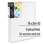 Liquitex BASICS Primed White Cotton Stretched Canvas, 18" x 24", 3/Pack (LIQ472018024)~#|#~33F902D6-18EB-4861-9CBFE5DCFE8E6A6E_sc7