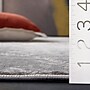 Safavieh Palma 5' x 7' Rectangle Indoor Area Rug, Machine Made, Gray (PAM372F-5)~#|#~341B424F-5023-4FF6-9F3BDD9D7189A119_sc7