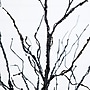 Nearly Natural Pre-Lit Halloween Black Twig Artificial Tree, 4' (T5166)~#|#~342C660F-D6A7-4770-8D550F810290FC9C_sc7