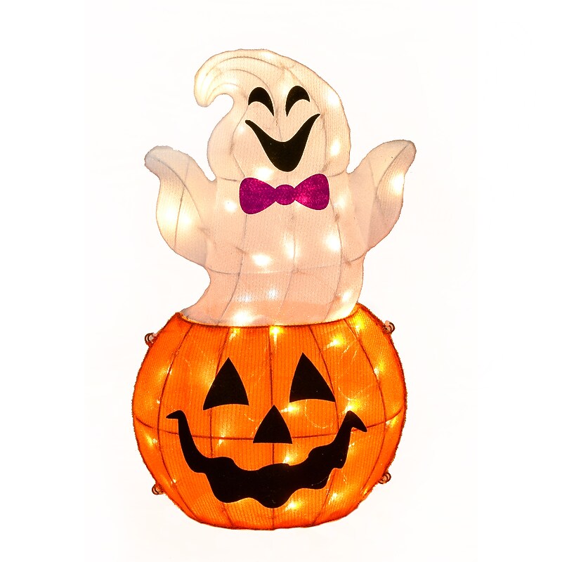National Tree Company 24" Pre-Lit Pumpkin and Ghost (MZ17-HS21B19-1) image 1