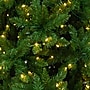 Nearly Natural 15-ft Artificial Slim Green Mountain Pine Christmas Tree with 1900 Warm White LED Lights (T4781)~#|#~3465AF47-4082-43E9-B3E804E763C312DF_sc7