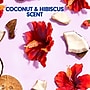 Softsoap Liquid Hand Soap Refill, Coconut & Hibiscus Scent, 6/Carton (US07162ACT)~#|#~346B2D33-149B-4BD4-90F66302664439DB_sc7