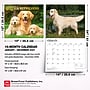2027 BrownTrout For the Love of Golden Retrievers 14" x 12" Monthly Wall Calendar, Assorted Colors (9798330709267)~#|#~346F83CD-EDAF-48E5-AD56EB7792ED077A_sc7