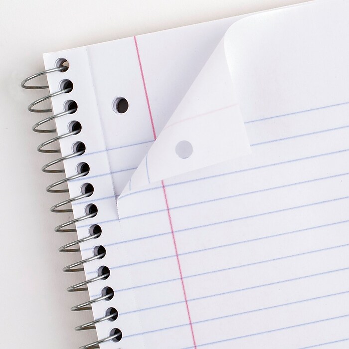 Mead 1-Subject Notebooks, 8