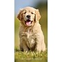 2026-2028 Willow Creek Puppies 3.5" x 6.5" Monthly Pocket/Wallet Calendar, Assorted Colors (66072)~#|#~349FA2AC-C78F-4B5C-8BF0D6568CBAB28F_sc7