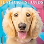 2027 Willow Creek Dachshunds  12" x 12" Monthly Wall Calendar (59968)~#|#~34B1C9CB-DFCE-4251-975F7C3B34995536_sc7