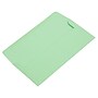 LUX #10 Regular Envelopes (4 1/8 x 9 1/2) 50/Pack, Pastel Green (65896-50)~#|#~34CE3069-3378-4997-BC00C2469425887E_sc7