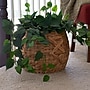 Household Essentials Woven Storage Wicker Basket, Natural (ML-4112)~#|#~34F4E0E3-8226-4876-AE20B236F928E8E3_sc7